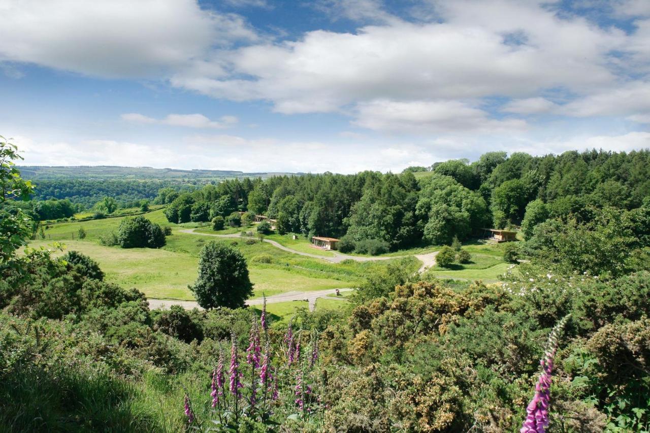 Yorkshire Dales Lodge 3 Family 3 Bed Richmond  Extérieur photo